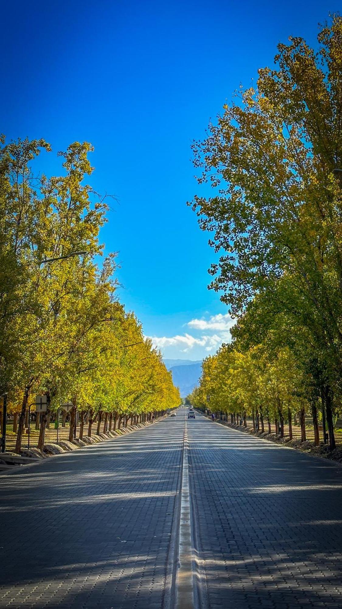 El Oasis Daire Mendoza Dış mekan fotoğraf