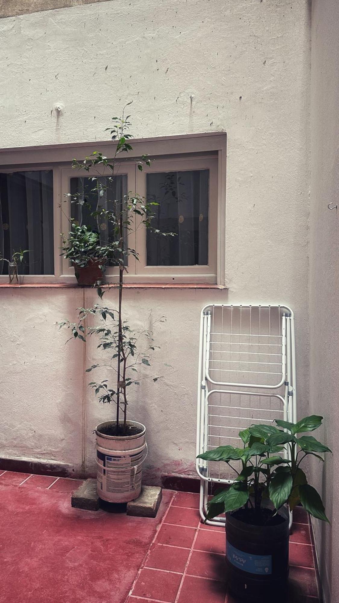 El Oasis Daire Mendoza Dış mekan fotoğraf